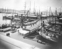 Historic view of Queens Wharf taken from the roof of the Bond Store