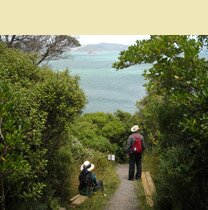 thumbnail-template23-home6.jpg