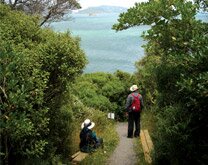 Visitors admiring the view on Matiu/Somes Island