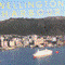 Wellington harbour book